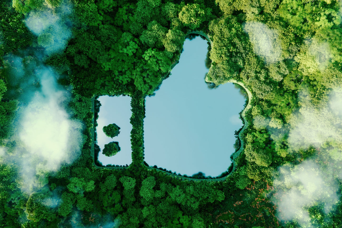 How Hemp Is Good for the Environment